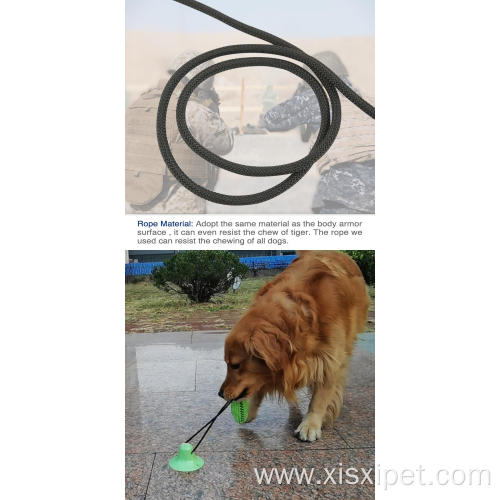 OEM Pet Interactive Dog Chew Toy Training Ball